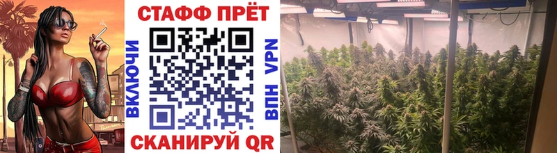 Где можно купить наркотики Сосновоборск ГАШИШ  COCAIN  Меф мяу мяу  Каннабис 