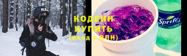 индика Артём
