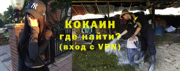 индика Артём