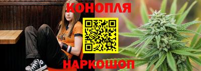 стаф Донецк