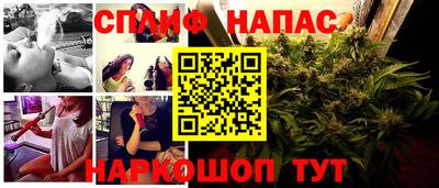 стаф Донецк
