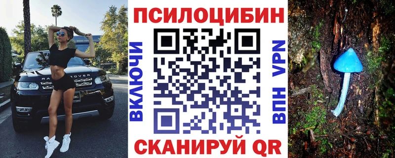 Псилоцибиновые грибы GOLDEN TEACHER  купить наркотики цена  Сосновоборск 