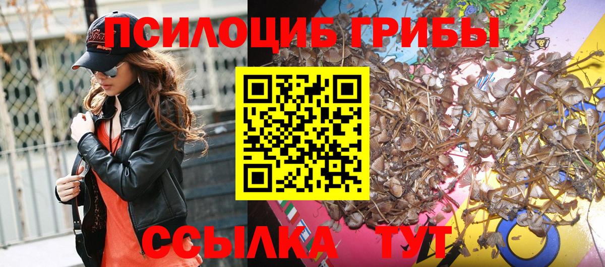 Галлюциногенные грибы мицелий Сосновоборск