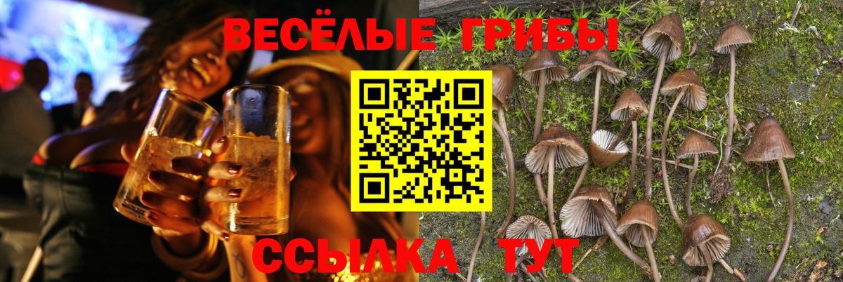 Псилоцибиновые грибы Magic Shrooms  Вход с VPN  Сосновоборск  Псилоцибиновые грибы ЛСД 