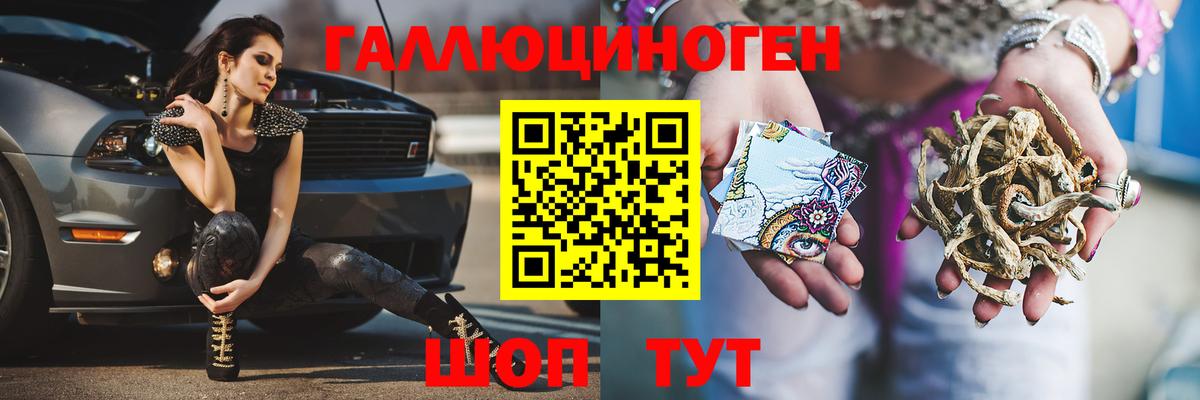 Галлюциногенные грибы Psilocybe  Сосновоборск  Галлюциногенные грибы MAGIC MUSHROOMS 